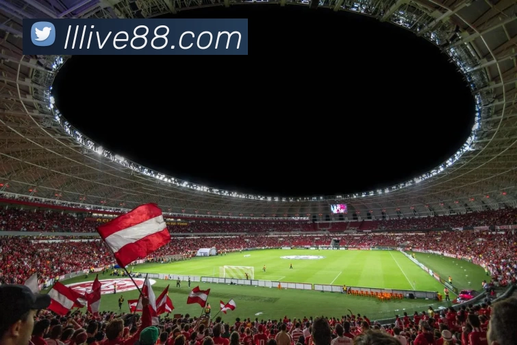 多媒体互动体验