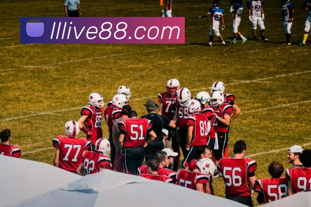 琳琅娱乐官网APP 体育赛事宣传图